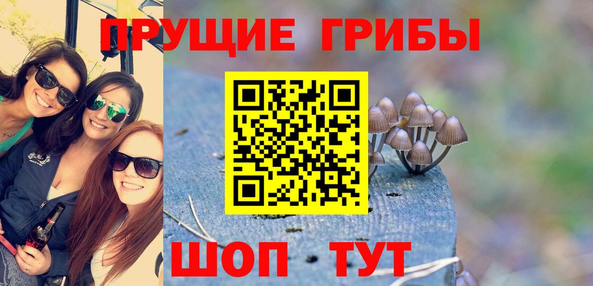 Псилоцибиновые грибы Magic Shrooms Сальск